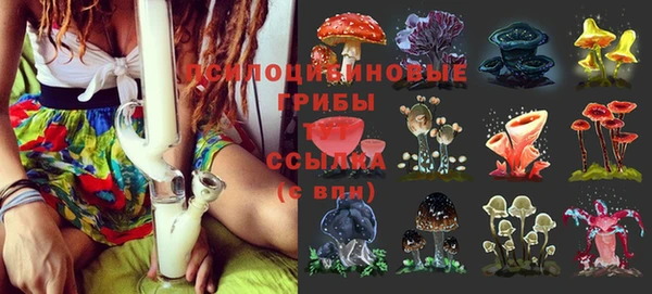 тгк Покровск