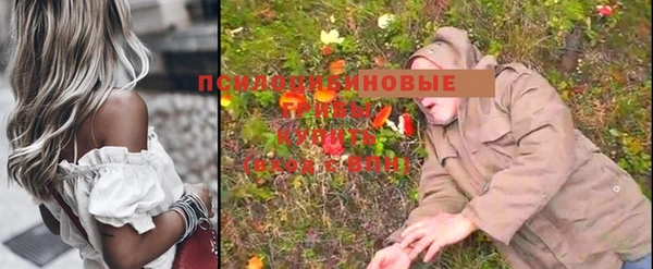 дурь Вуктыл