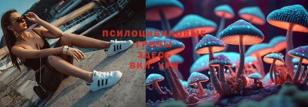 2c-b Покров