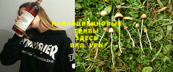 apvp Покачи