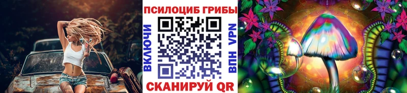 omg вход Балабаново Псилоцибиновые грибы Cubensis
