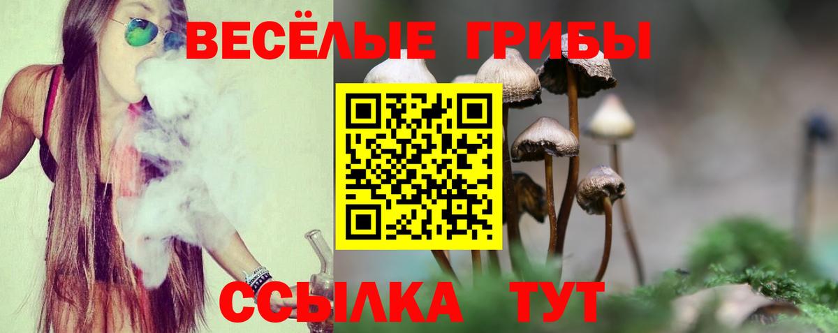 Галлюциногенные грибы прущие грибы  Вход с VPN  Балабаново  Галлюциногенные грибы мухоморы 
